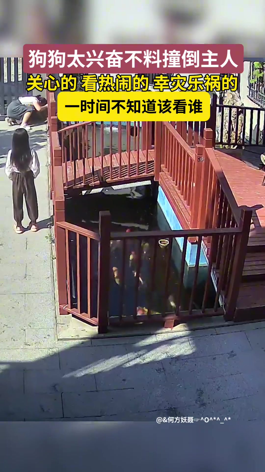 狗狗太兴奋不料撞倒女主，女子一个趔趄撞向墙角