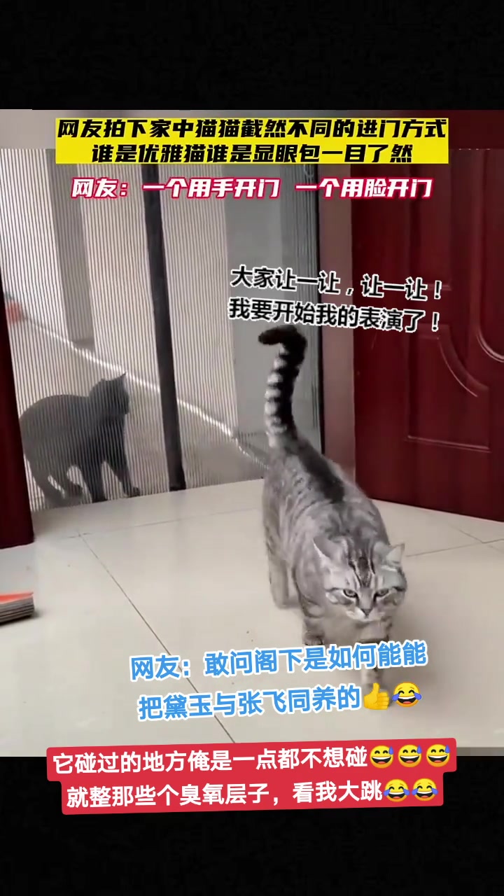 网友拍下家中猫猫截然不同的进门方式，一个用手开一个用脸开