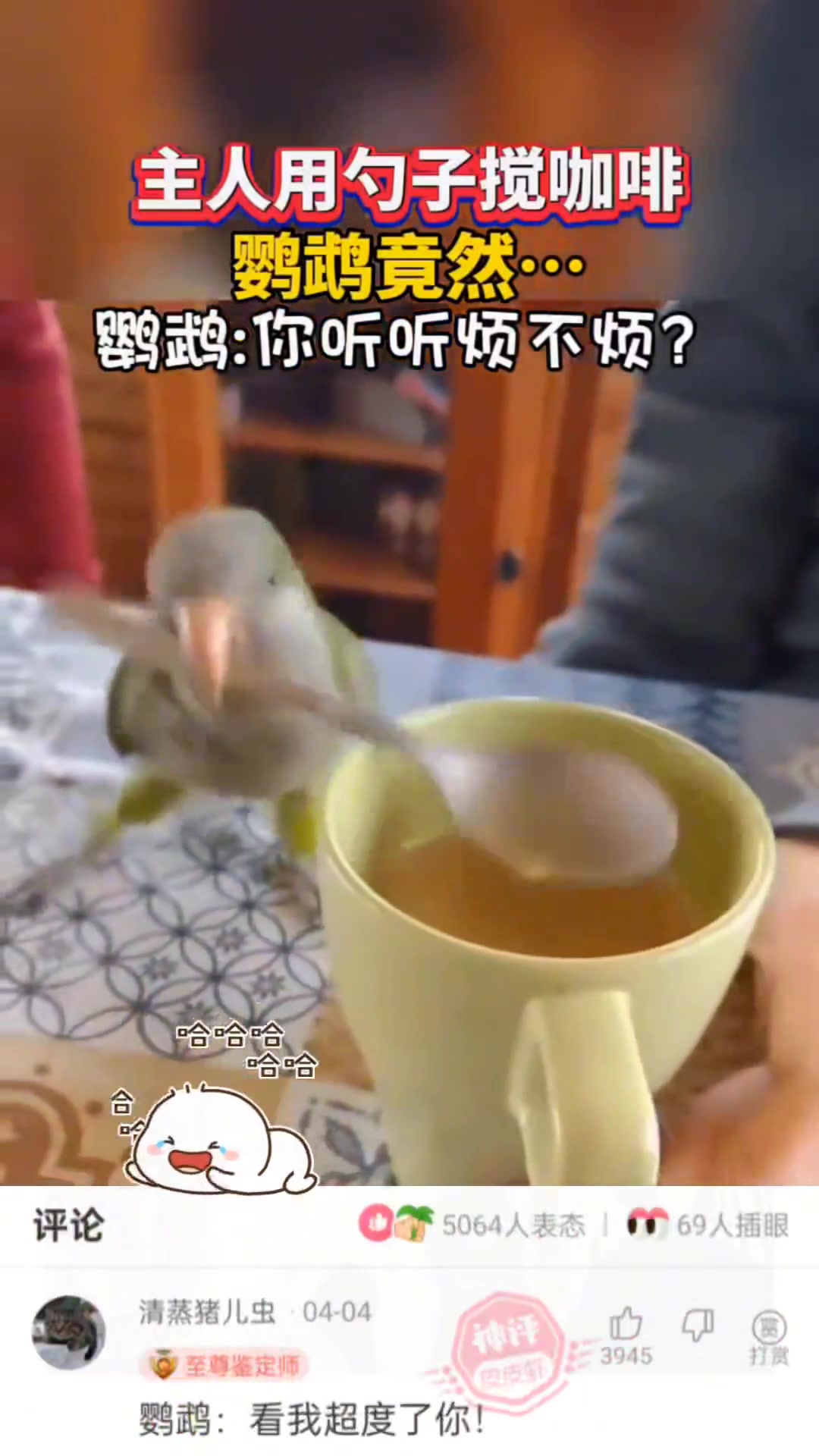 主人用勺子搅咖啡，鹦鹉竟然