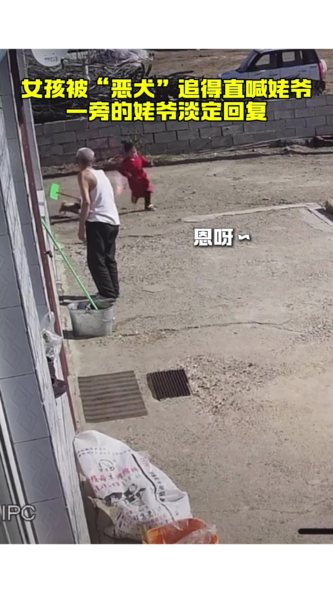 小女孩被“恶犬“追得直喊爷爷，一旁的姥爷淡定回复