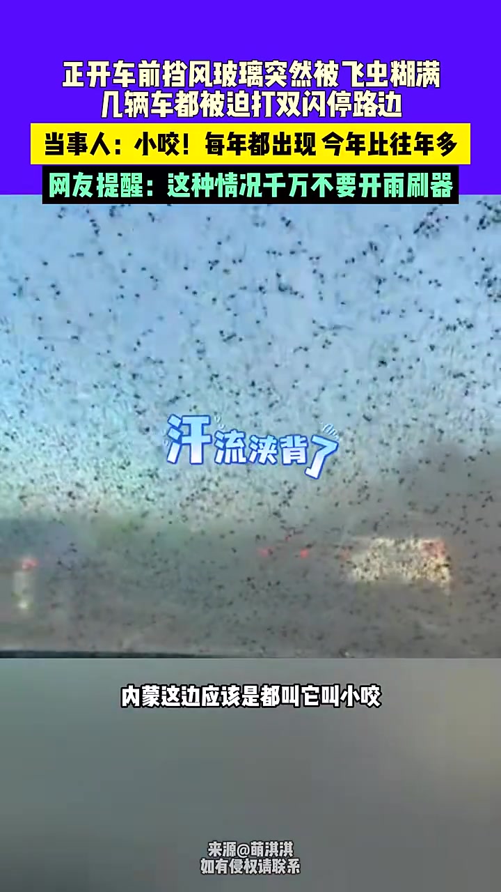 车前挡风玻璃突然被飞虫糊满，被迫打双闪停路边