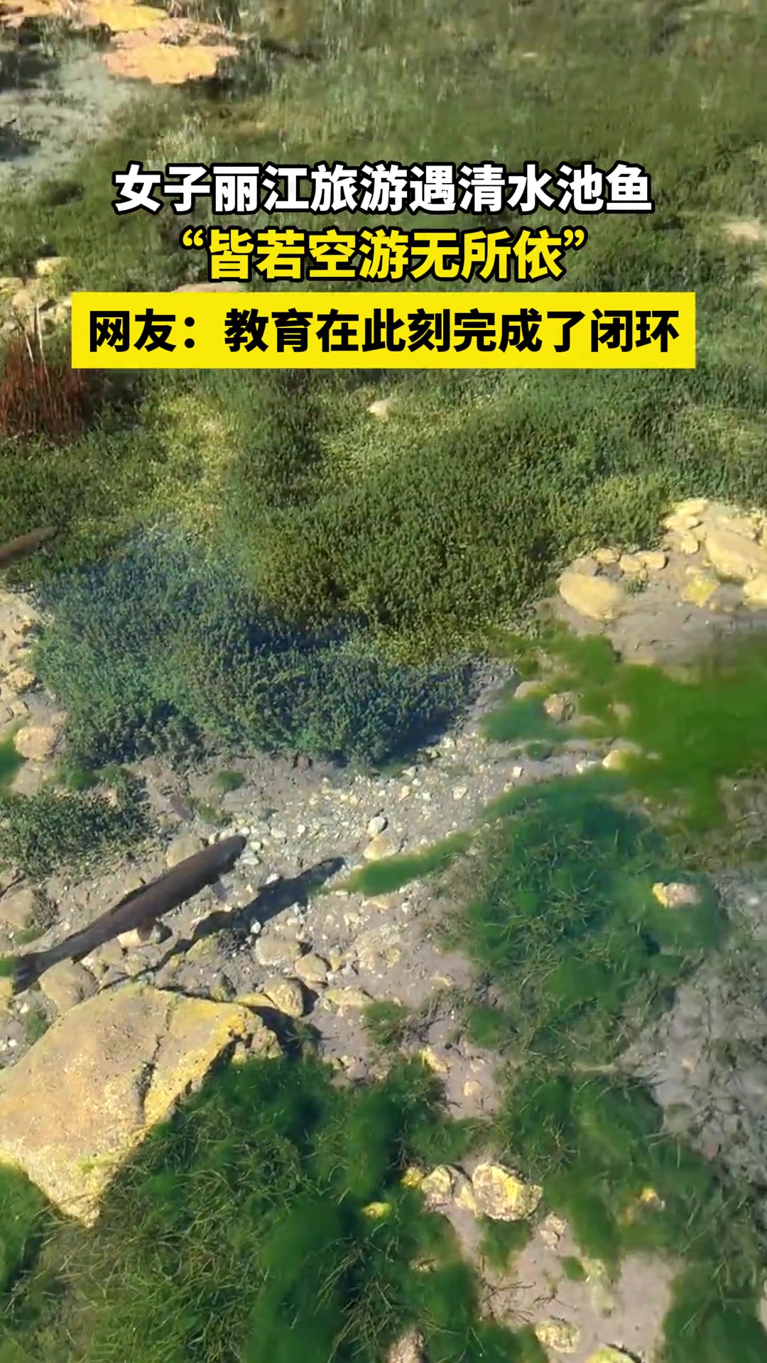 有一种古今交融的美感