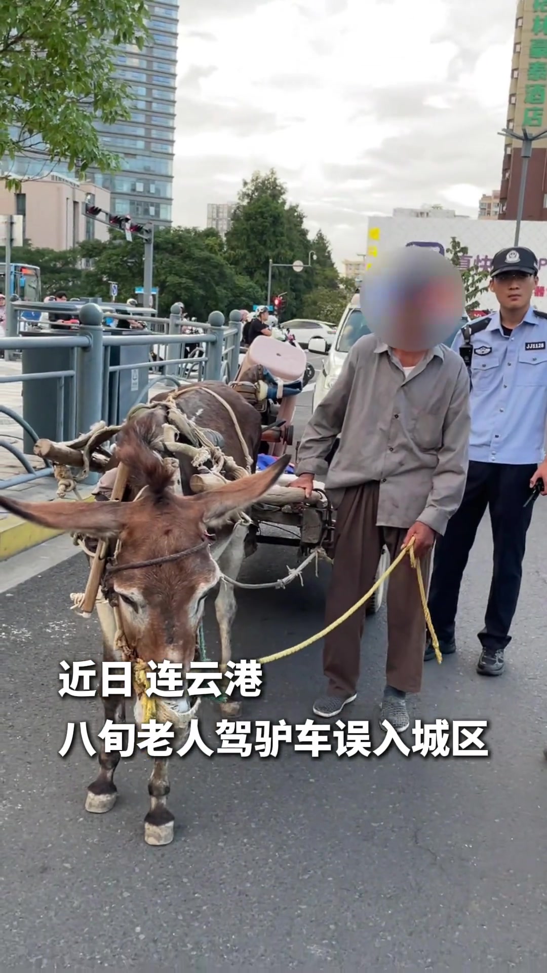 当毛驴遇到铁骑