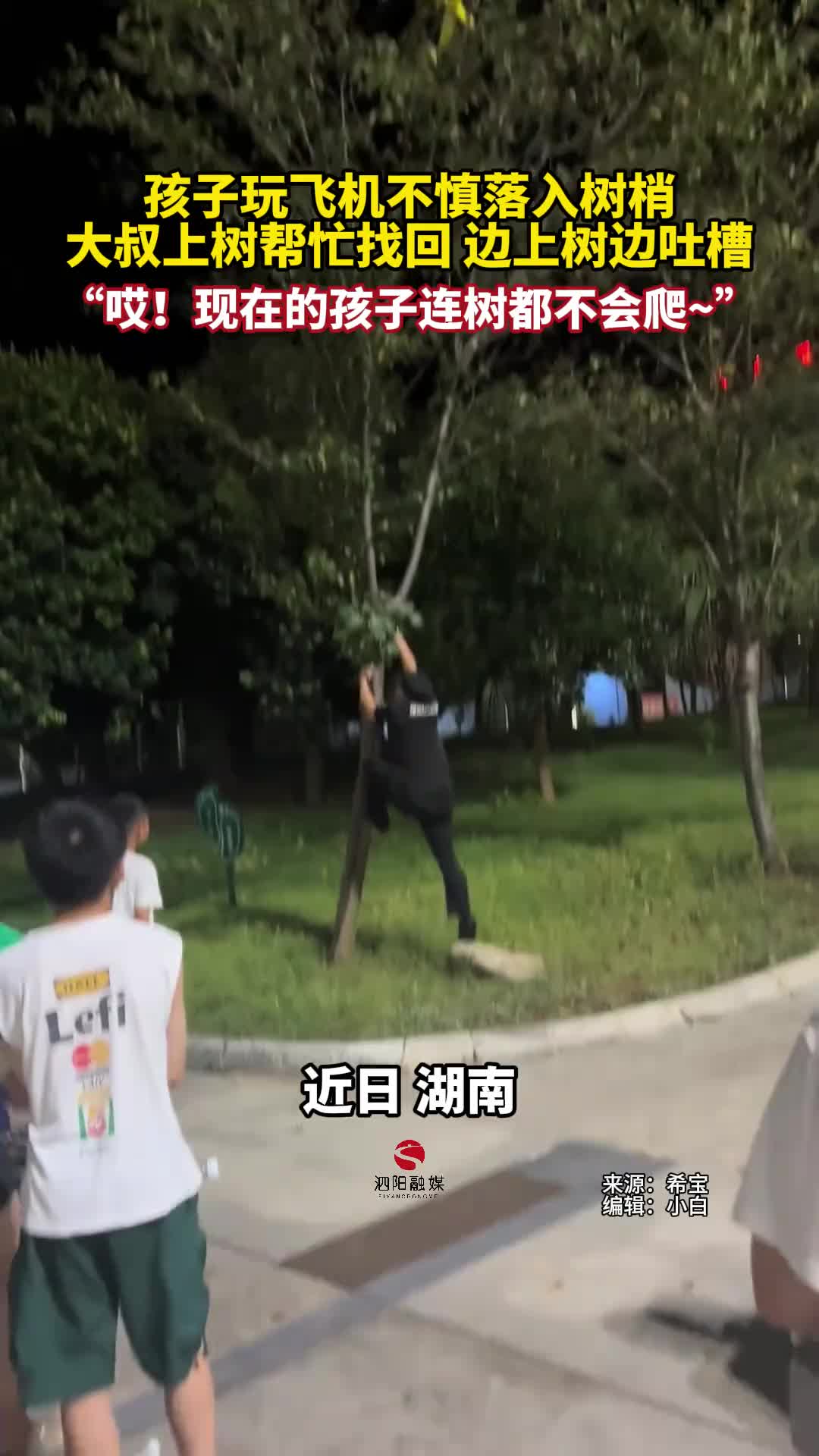 大叔边上树边吐槽：“哎，现在的孩子连树都不会爬”