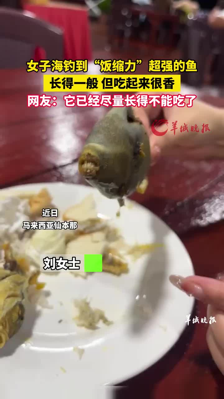 女子海钓到“饭缩力”超强的鱼，它已经尽量长得不能吃了！