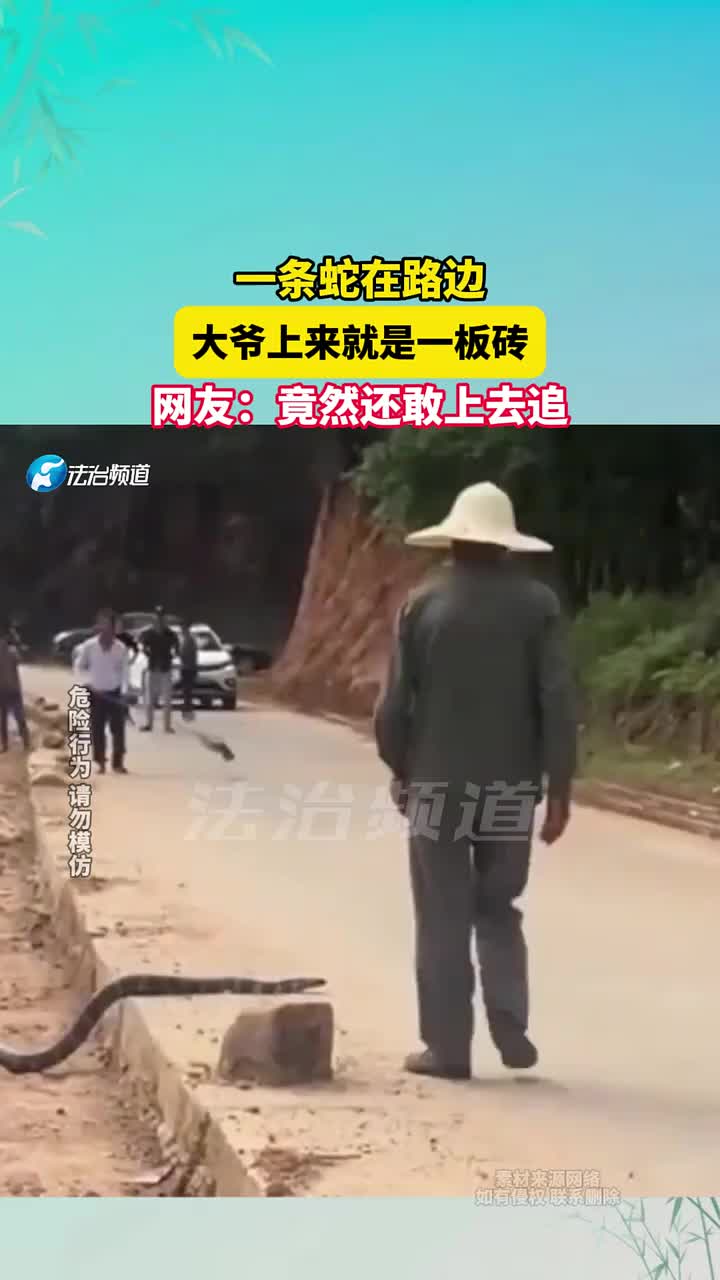 一条蛇在路边，大爷上来就是一板砖，网友竟然还敢上去追
