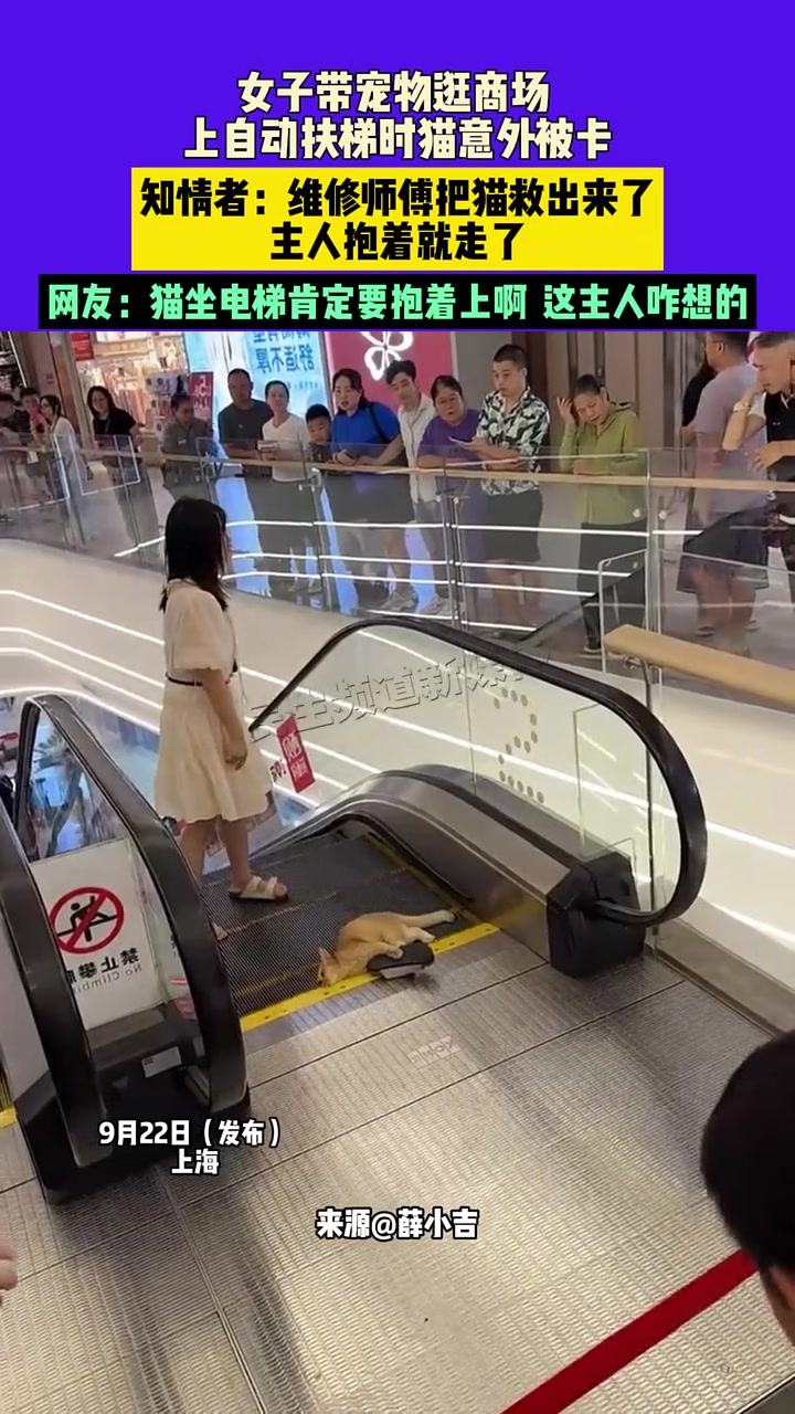 女子带宠物逛商场，上自动扶梯时猫意外被卡！