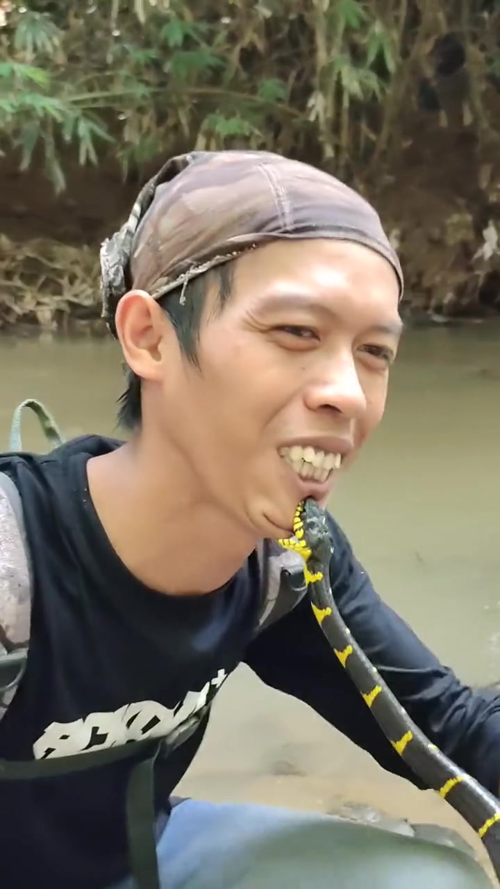 牙早拔光了吧，下次换个有牙的就老实了