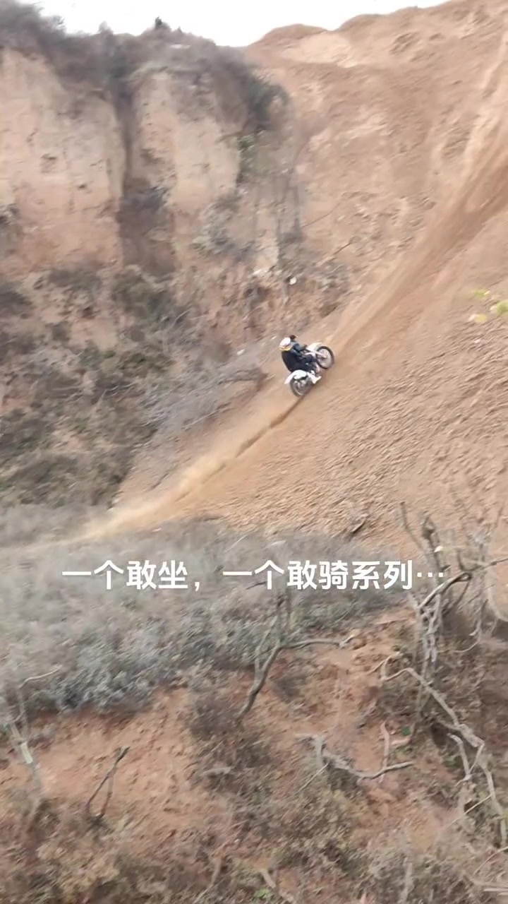 一个敢坐，一个敢骑系列..