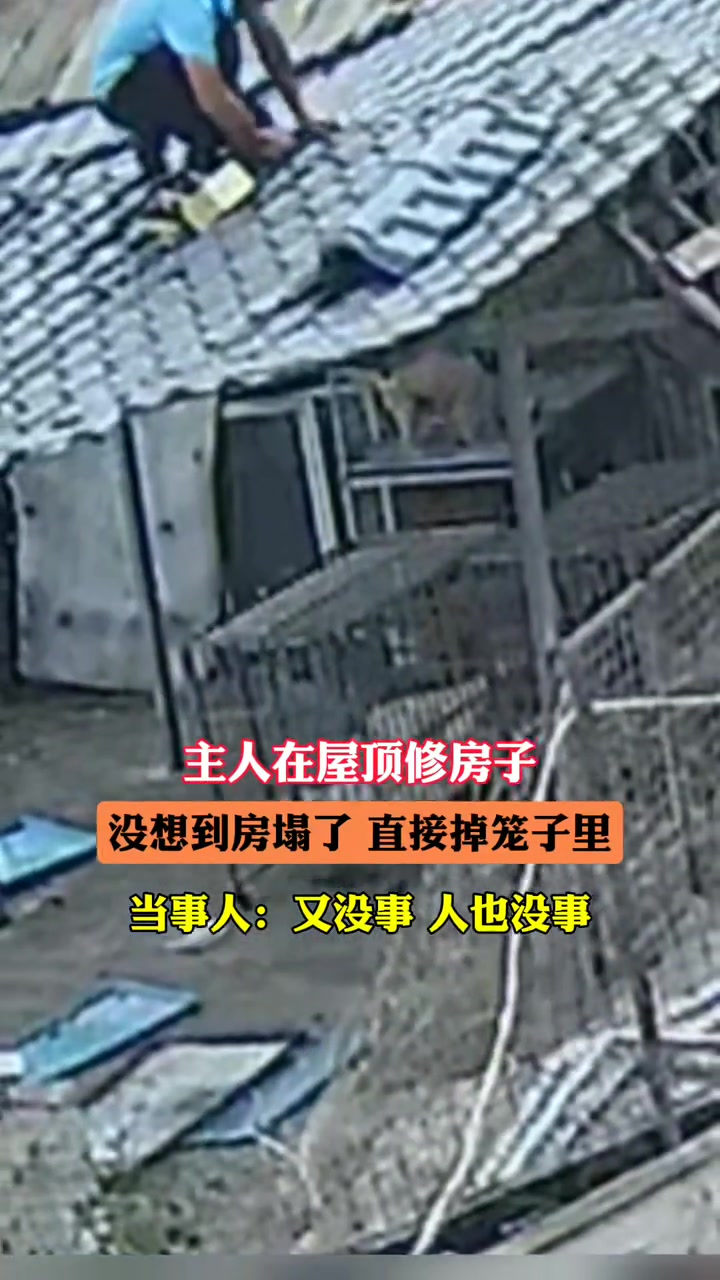 狗子在笼子里睡觉，结果主人从天而降！