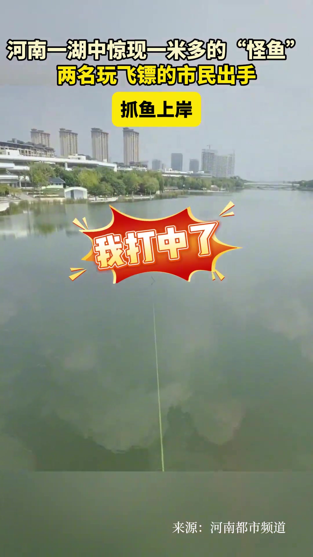 河南一湖中惊现一米多的“怪鱼”，两名玩飞镖的市民出手