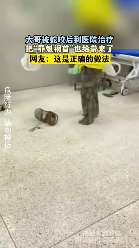大哥被蛇咬后到医院治疗，把“罪魁祸首”也给带来了