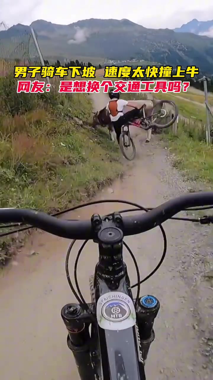 男子骑车下坡，速度太快撞上牛！！