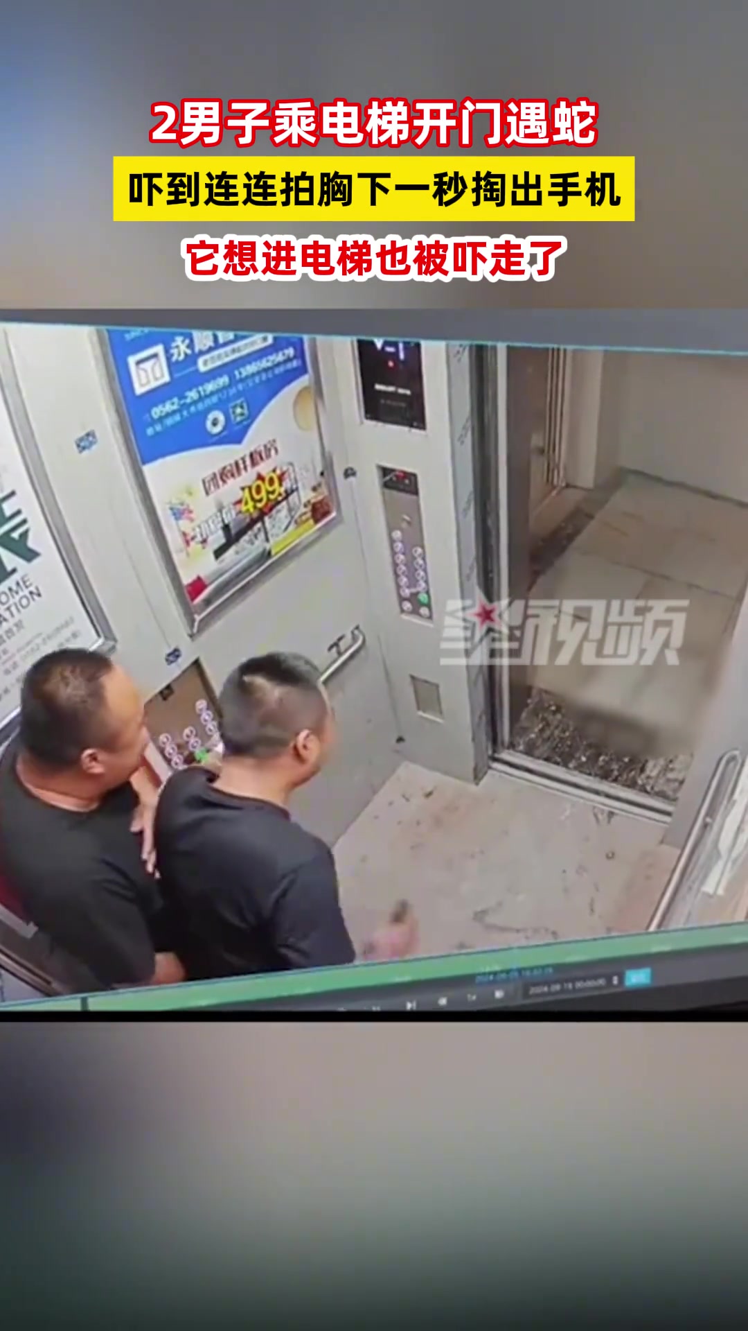 2男子乘电梯开门遇蛇吓到连连拍胸下一秒掏出手机