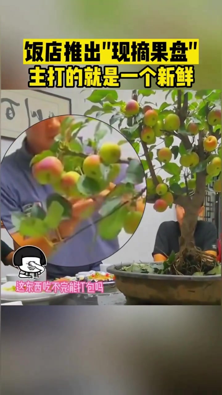 饭店推出“现摘果盘”主打的就是一个新鲜