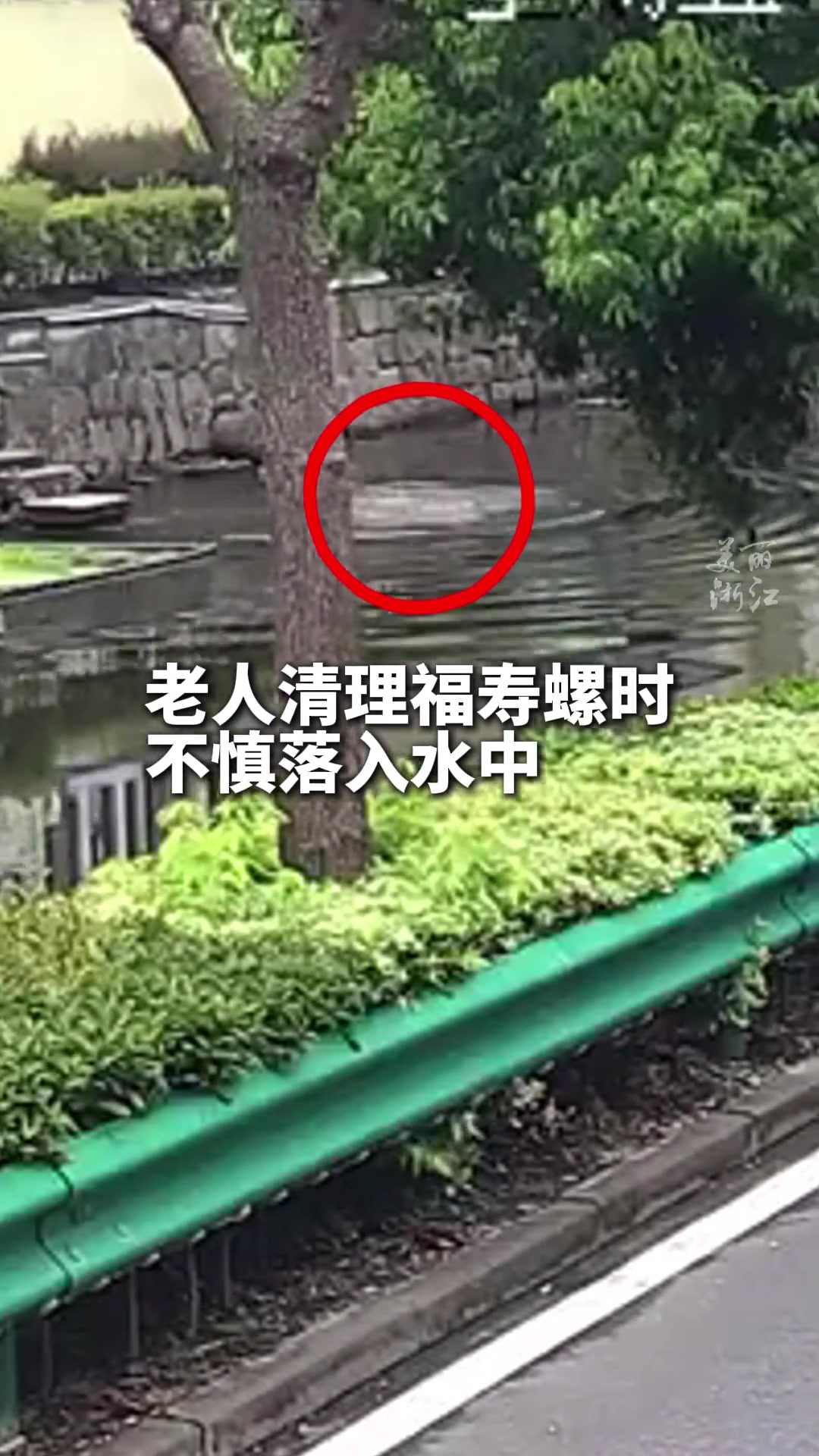 老人不慎落水负伤村民没有犹豫翻过护栏跳河救人