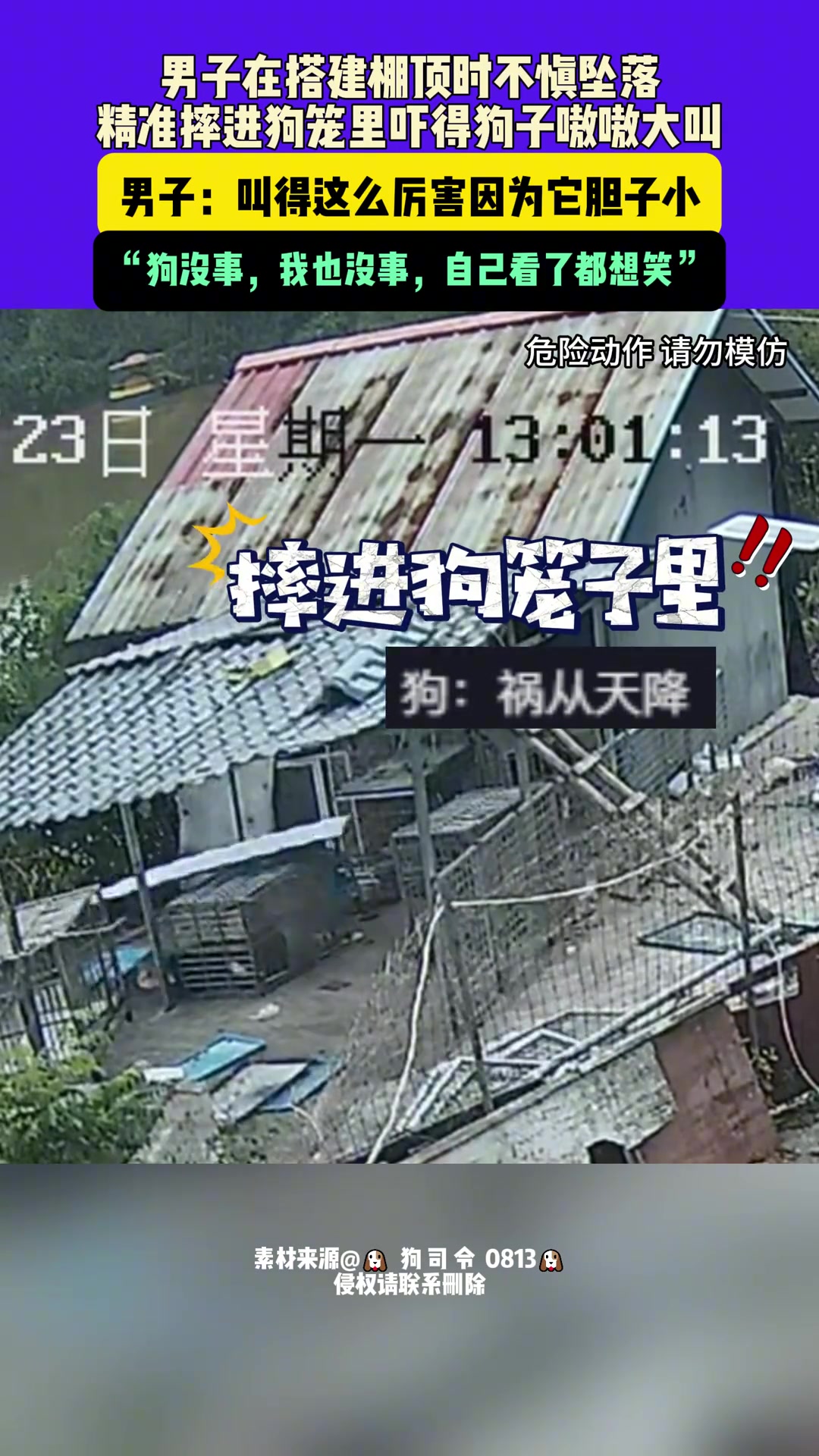 男子在搭建棚顶时不慎坠落精准摔进狗笼里吓得狗子嗷嗷大叫