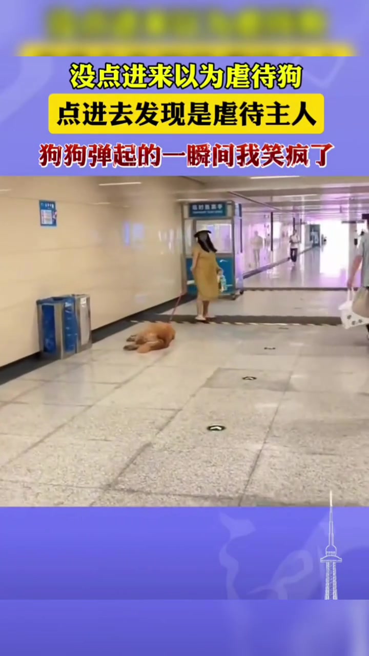 没点进来以为是虐待狗，点进来发现是虐待主人