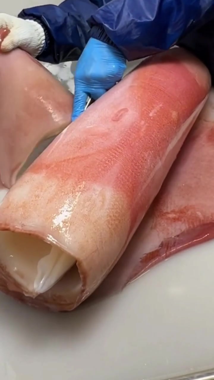 超大鱿鱼分割处理，这个肉肉烤着吃怎么样