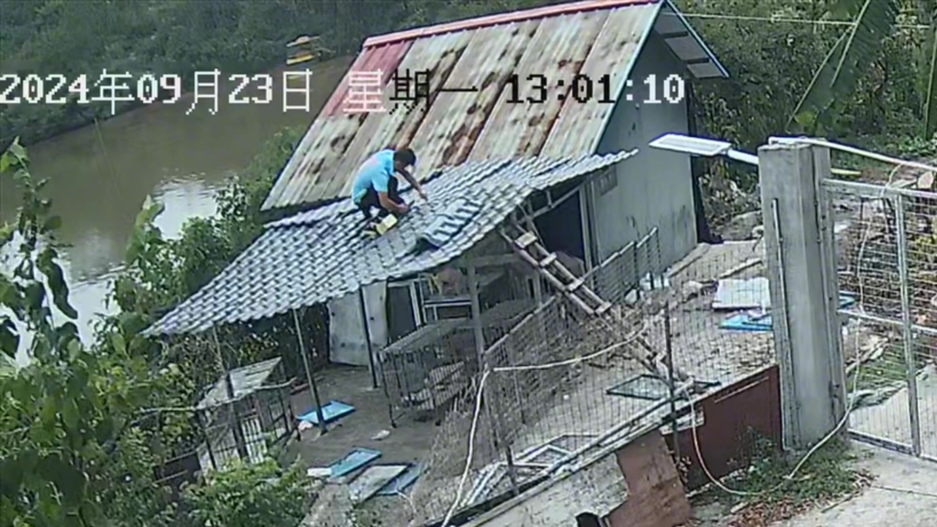 一男子修理顶棚时不慎摔下砸到家里狗子，你瞅你给狗压的