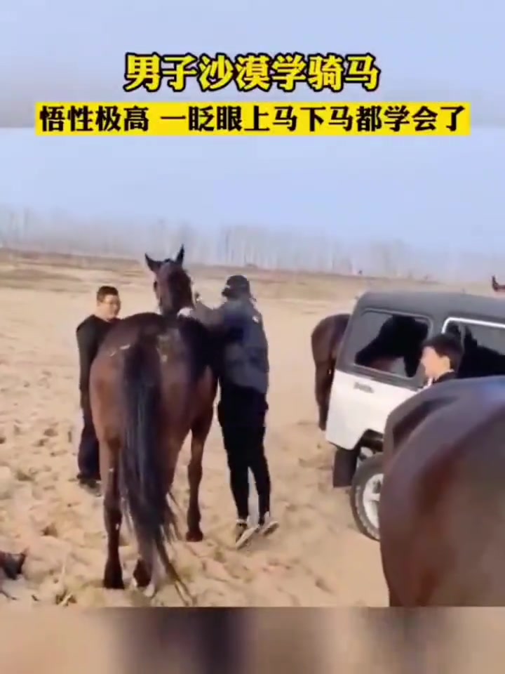 下去那一刻，马都直摇头
