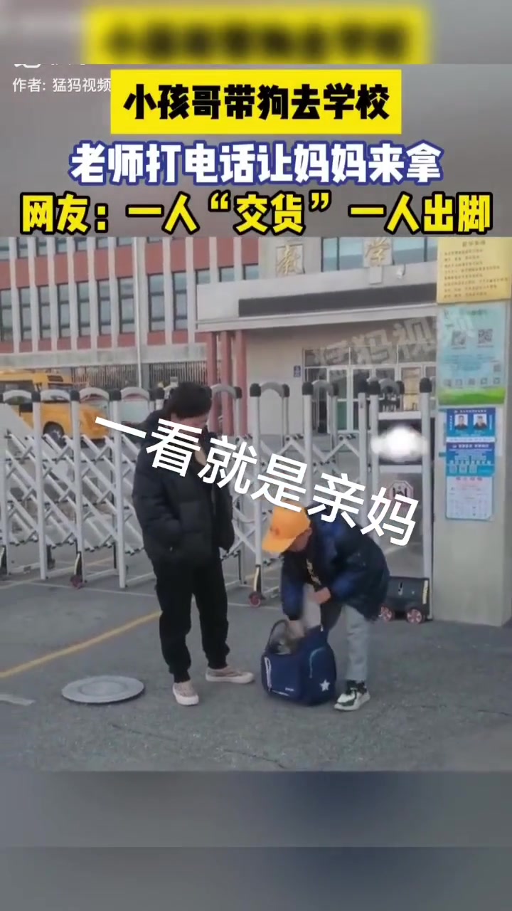 小孩哥带狗去学校，老师打电话让妈妈来拿