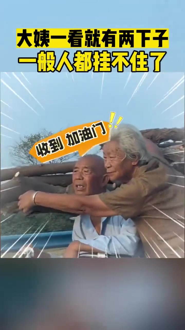 速度与激情老年版