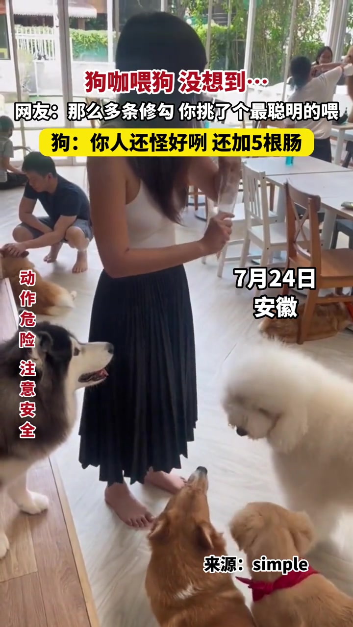 小姐姐狗咖喂狗，挑了个最聪明对的喂