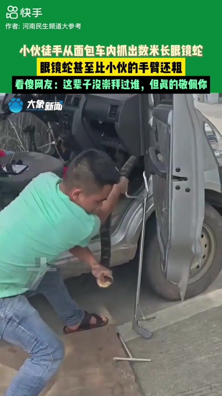 小伙竟然徒手从面包车内抓出数米长眼镜蛇