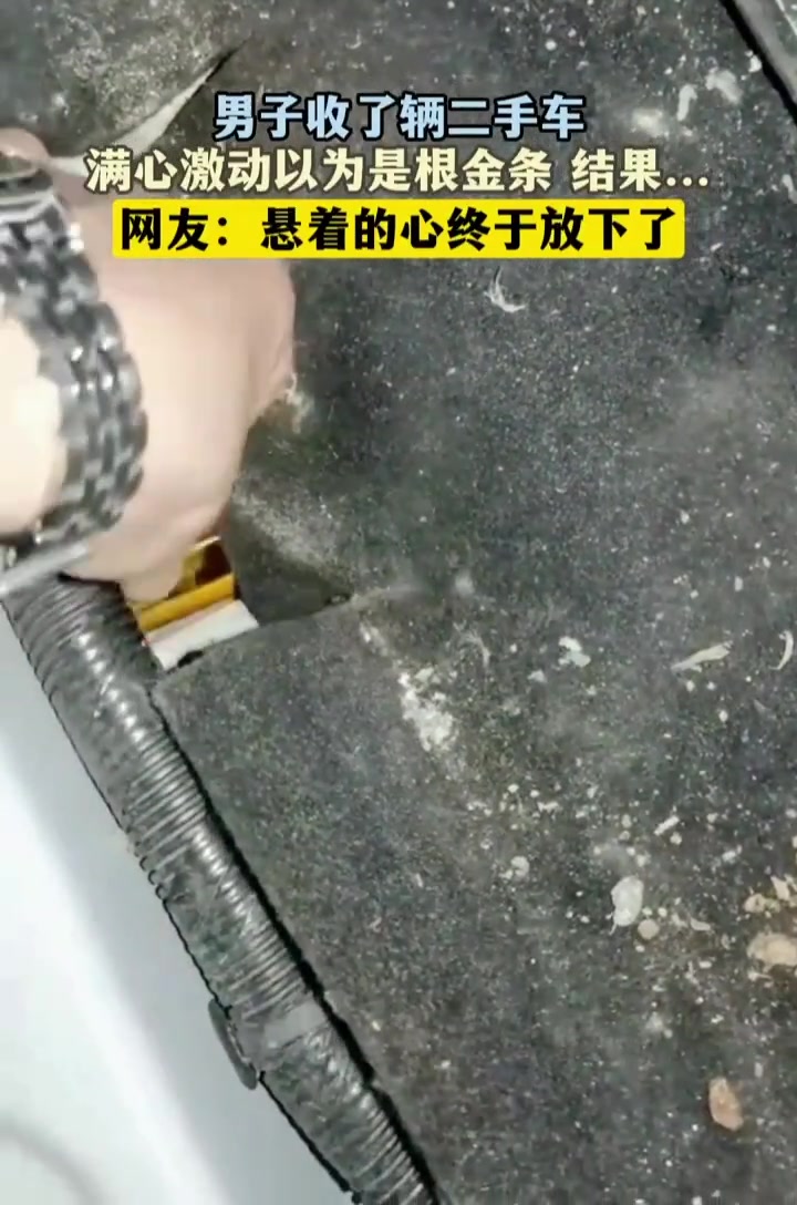 我还以为是金箔纸包装的巧克力