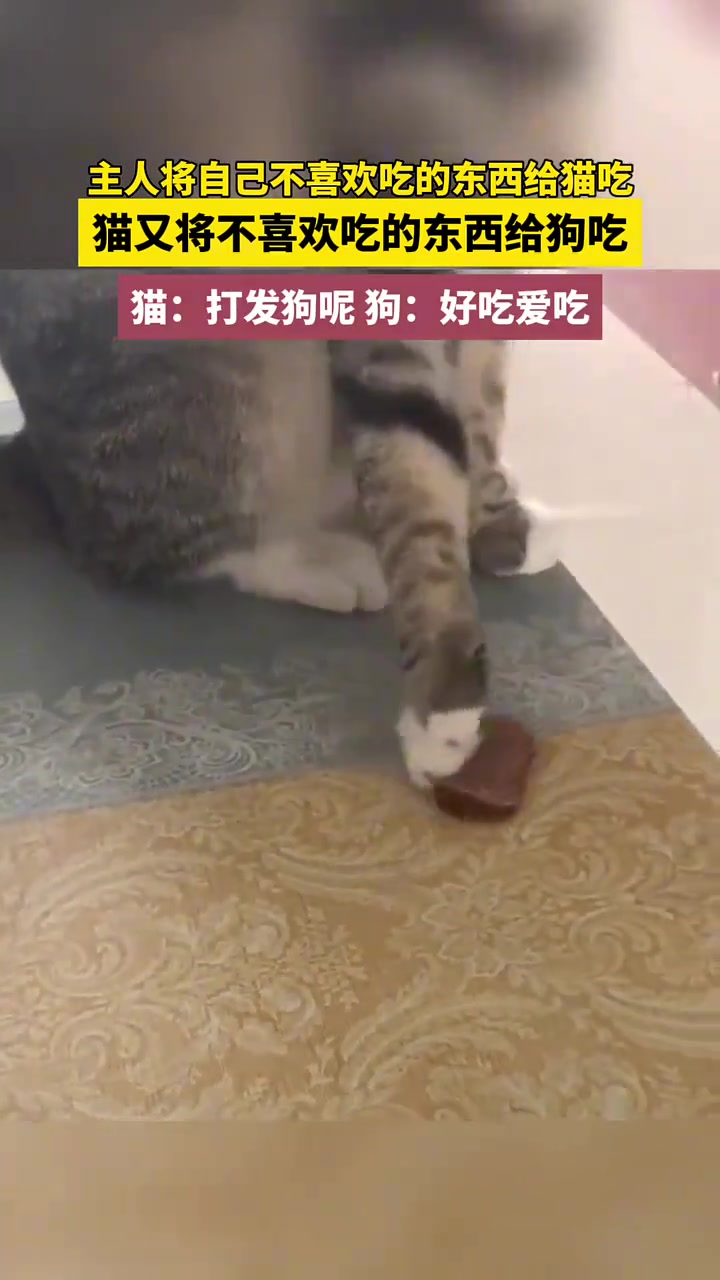 有的男人笑着笑着就哭了