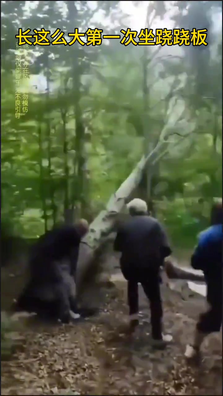 上班没心情，看视频笑死我了