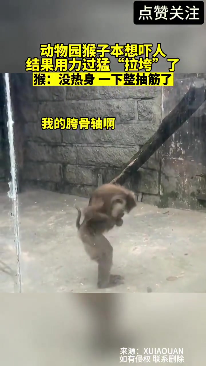 哈哈哈哈，像极了我那刚拉完屎出来的同事