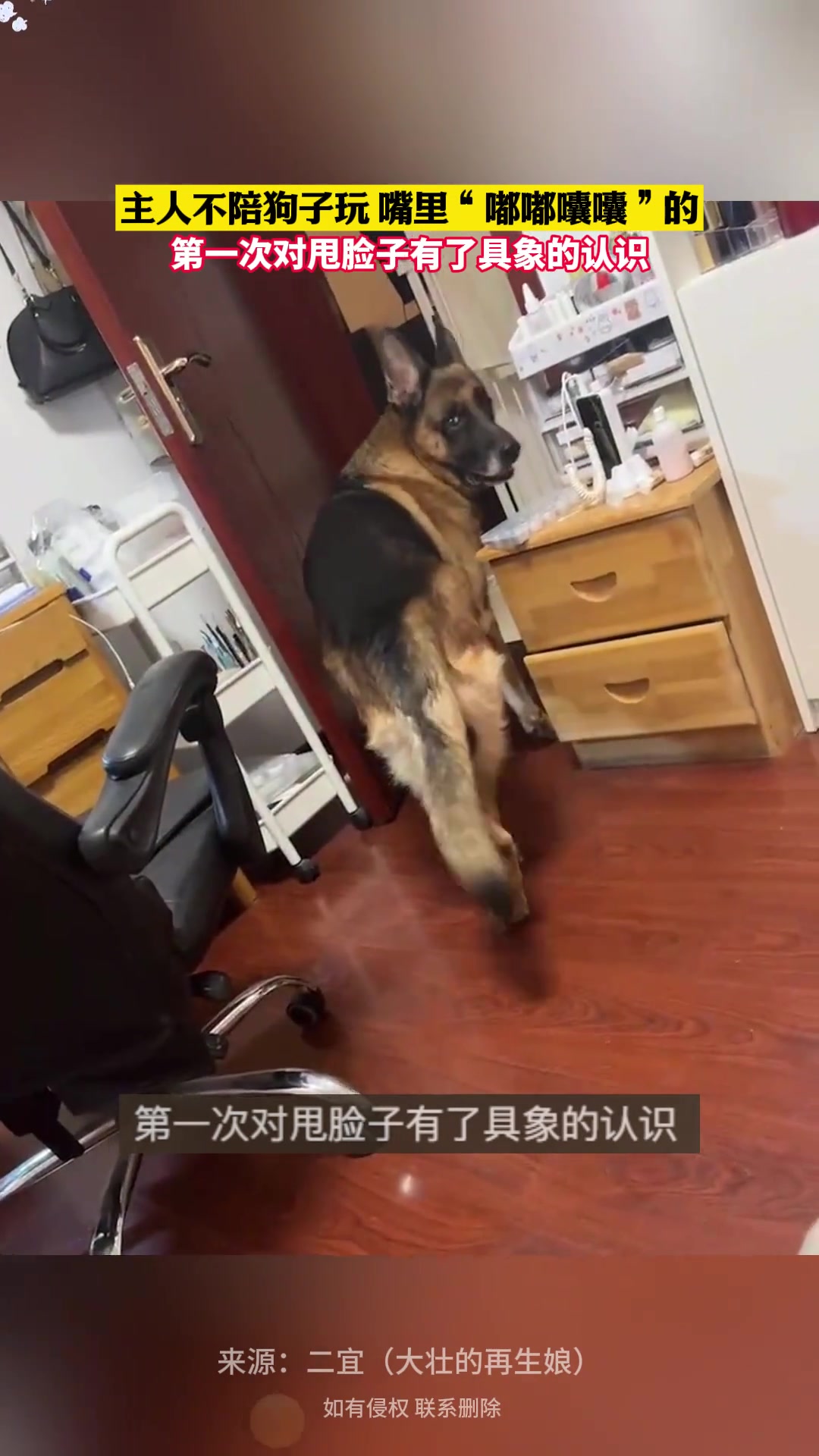 看似唯唯诺诺，实则早已骂过千百遍