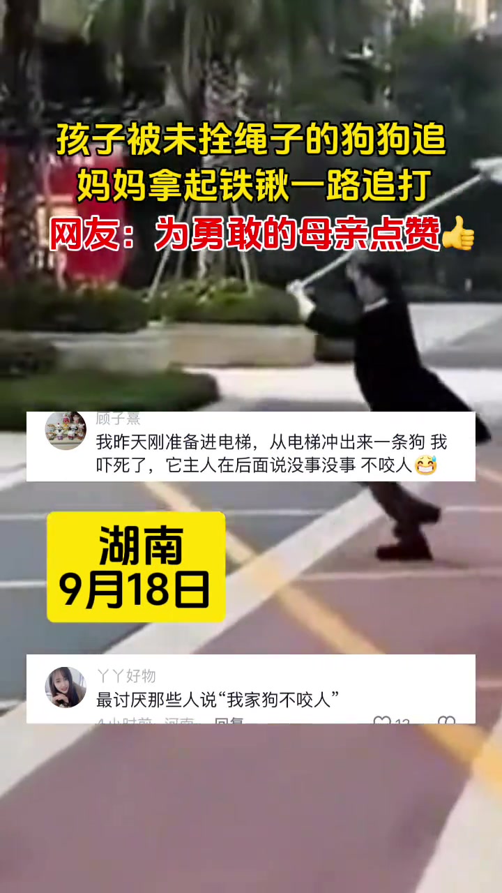 孩子被未拴绳子的狗儿追，妈妈拿起铁锹一路狂追