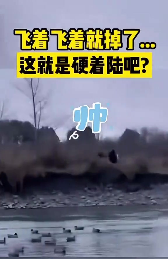 你就说优雅不优雅吧