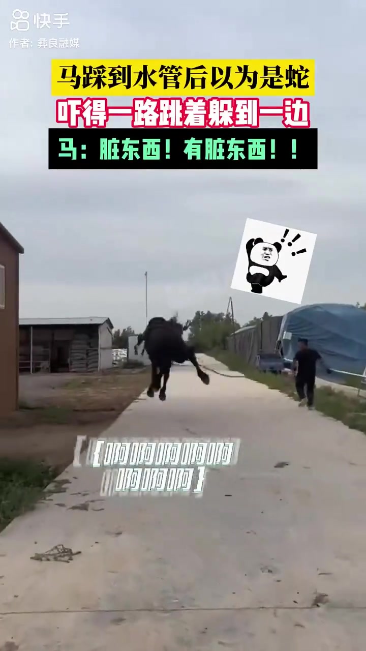 马儿又软又凉，这脚感，是大蛇无疑了