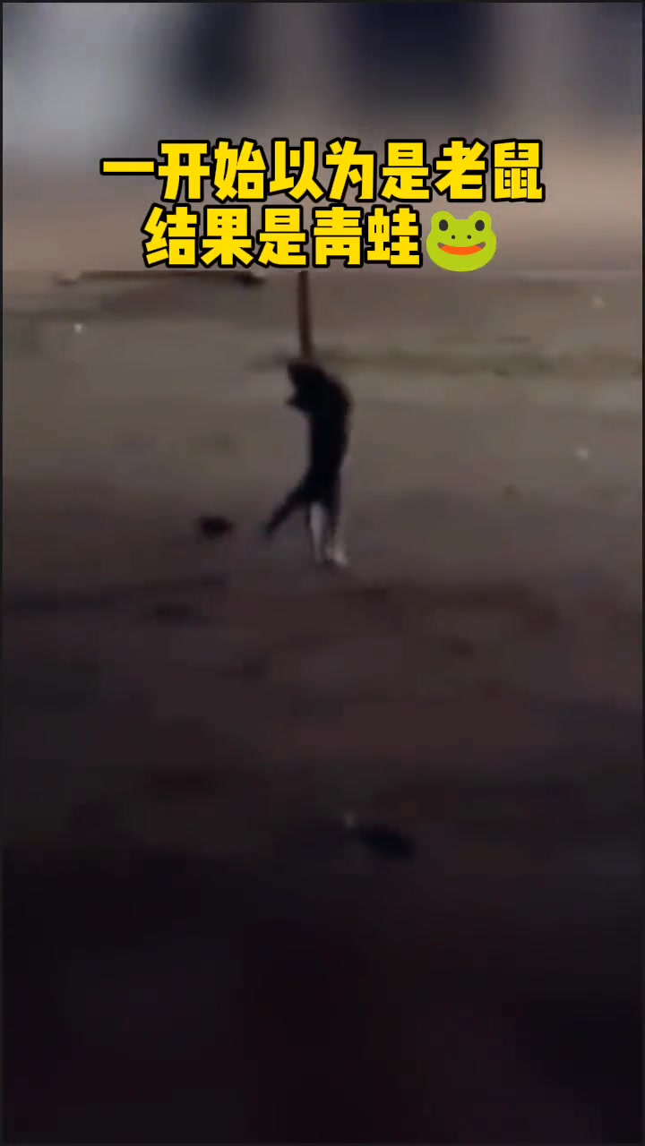 蛤蟆：小蝌蚪找妈妈，你还找上妈妈了