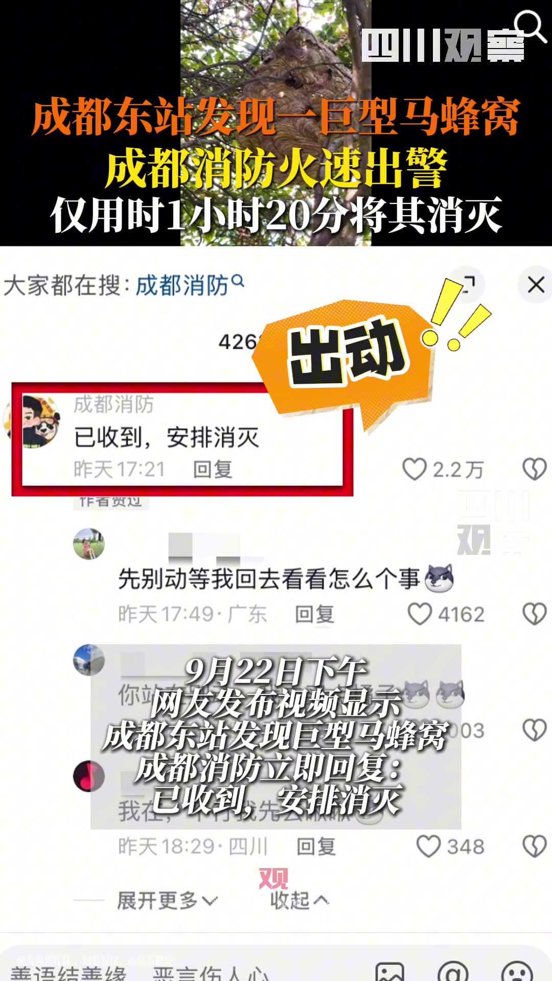 1小时20分排除隐患！成都东站巨型马蜂窝已处理！