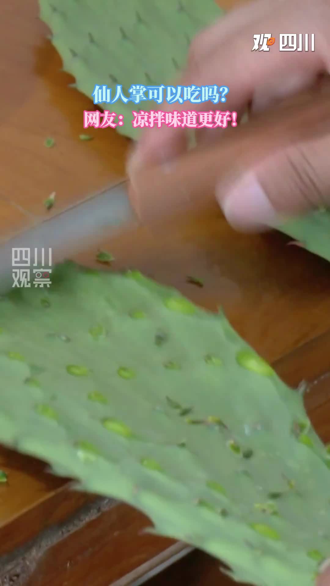 这也太野了！凉拌仙人掌你吃过吗