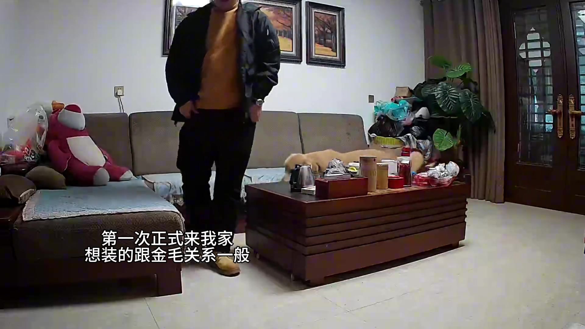 金毛：我跟你装不了一点