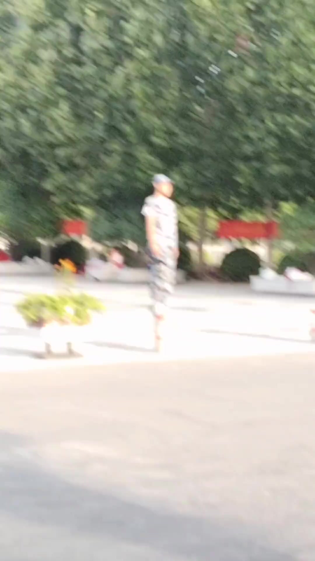 真是一枝独秀