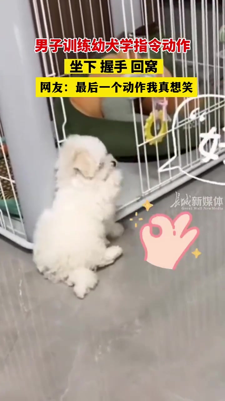 社会摇粒绒