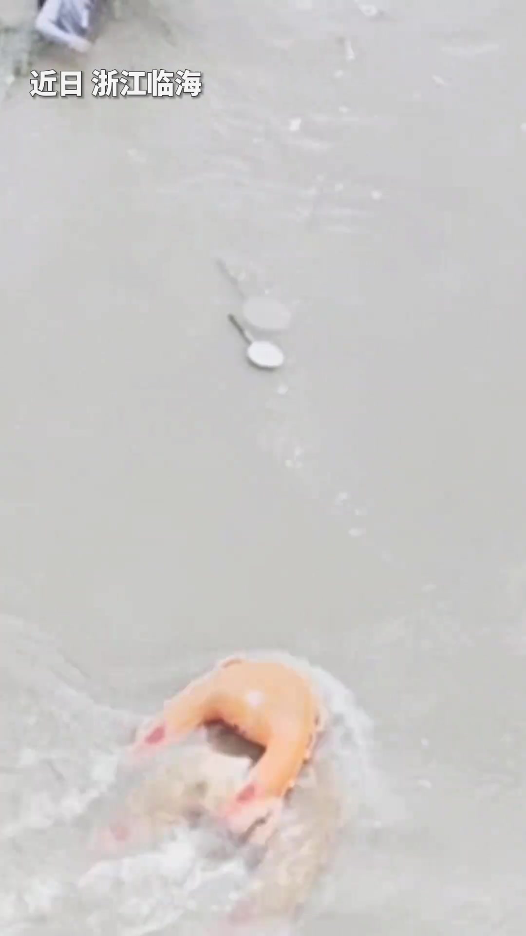 水上机器人不到5分钟完成救援！