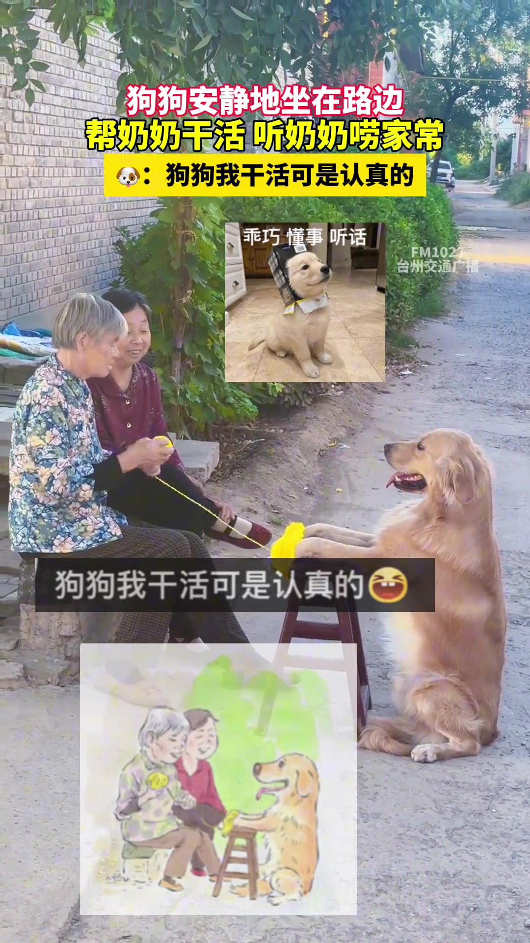 狗：狗狗我干活可是认真的