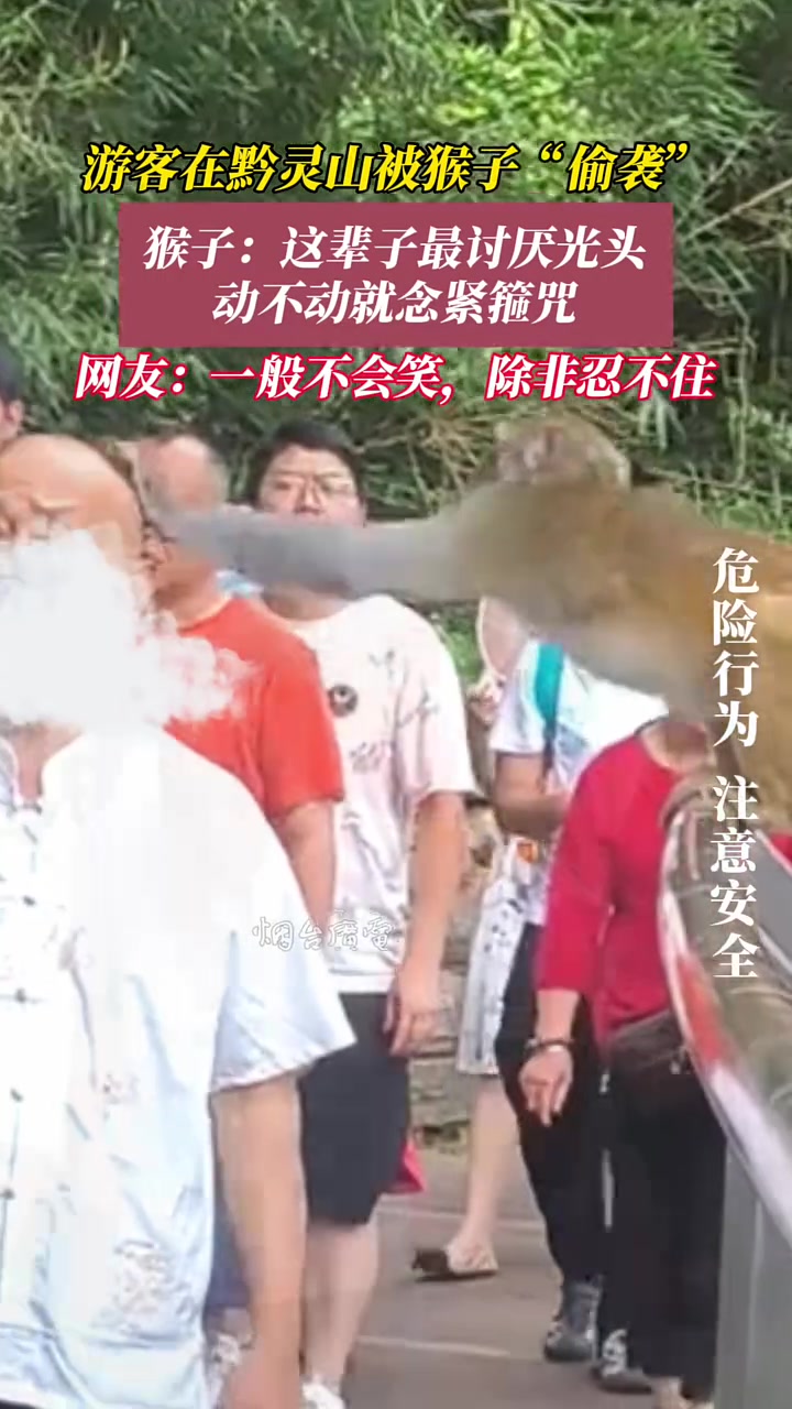 游客在黔灵山被猴子“偷袭”，网友：一般不会笑，除非忍不住