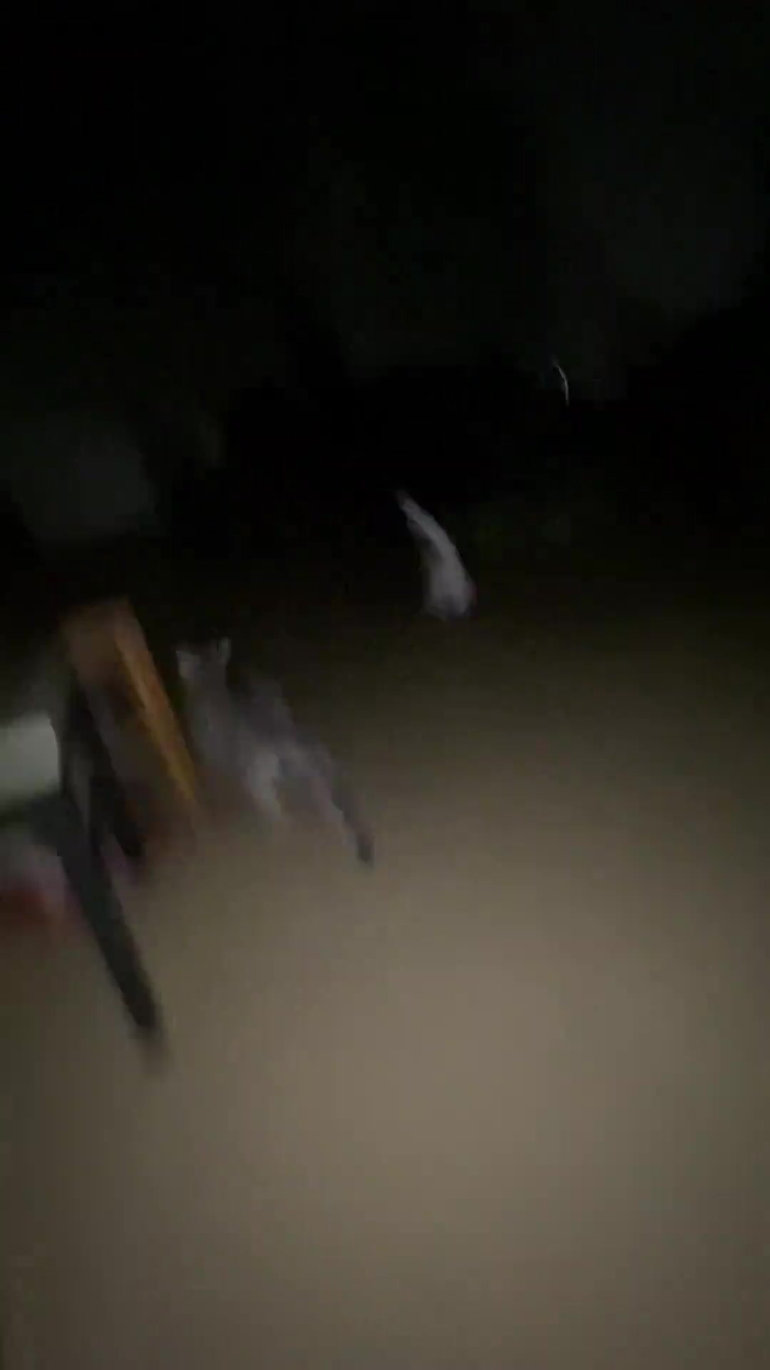 猫：我已经想好如何生一场5000的小病了