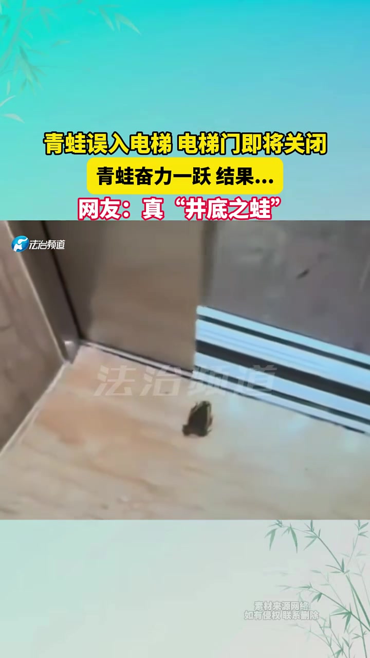 青蛙误入电梯电梯门即将关闭，青蛙奋力一跃结果