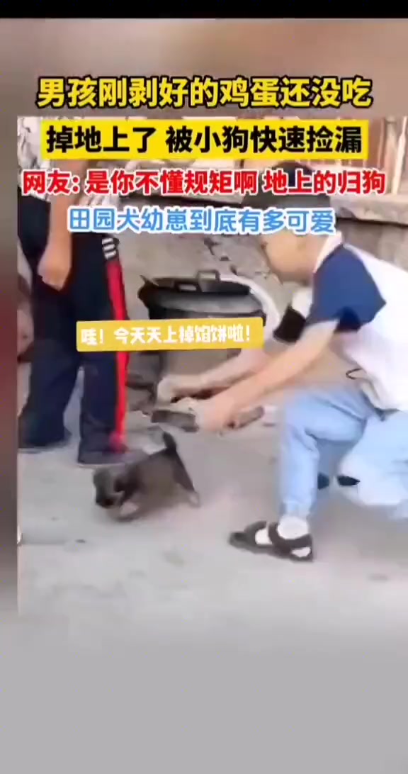 小狗：谁也不好使