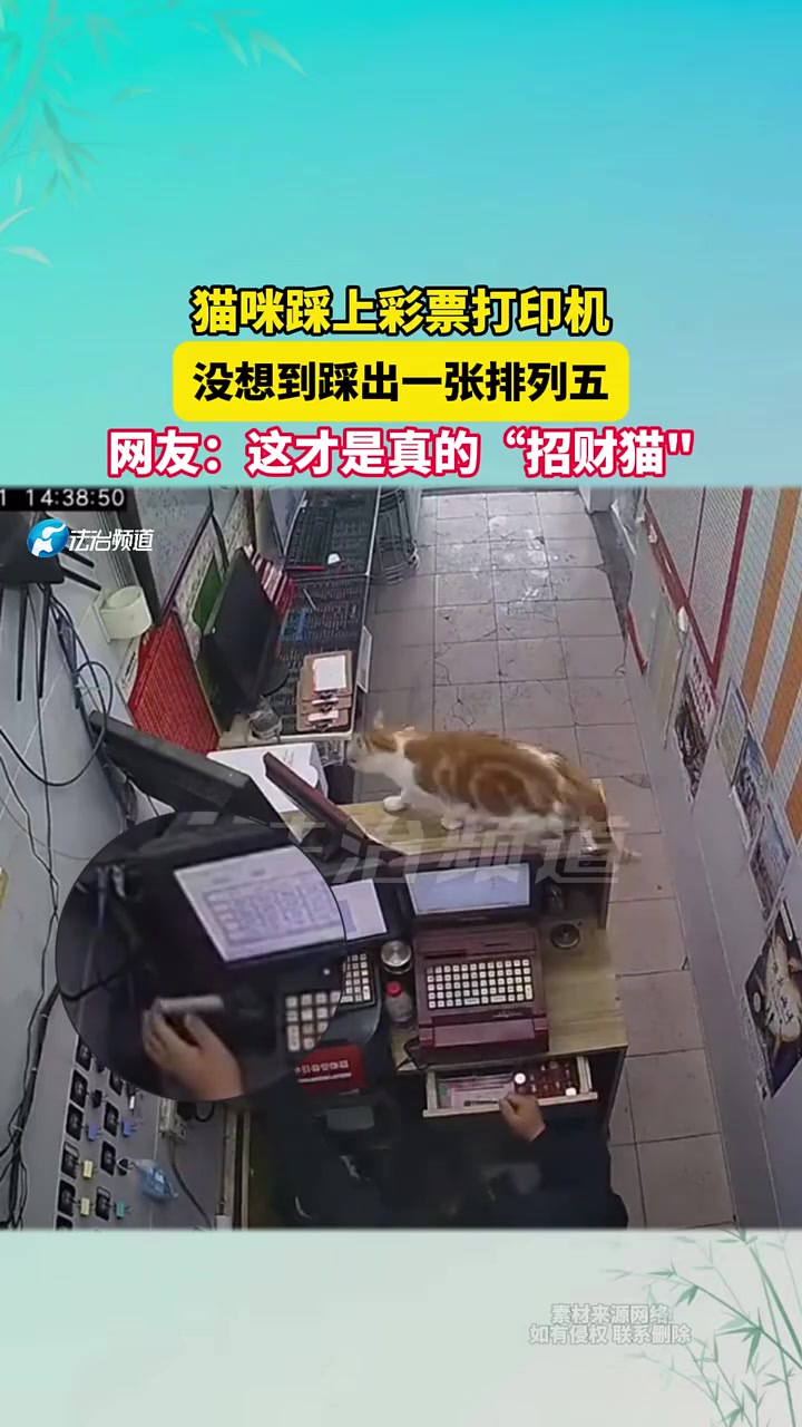 猫咪踩上彩票打印机，没想到踩出一张排列五